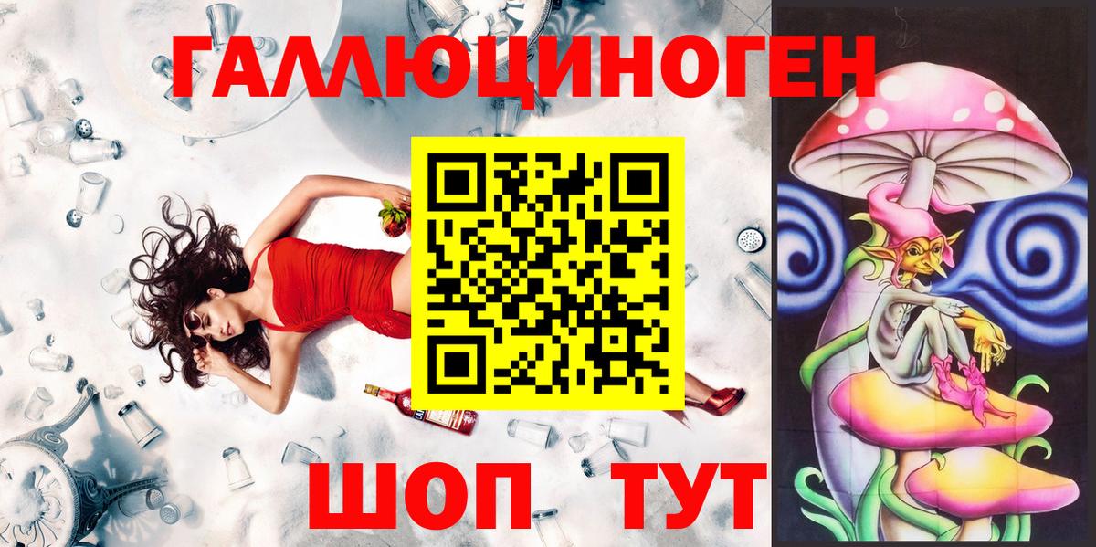 Псилоцибиновые грибы GOLDEN TEACHER  купить наркотики сайты  Славгород 